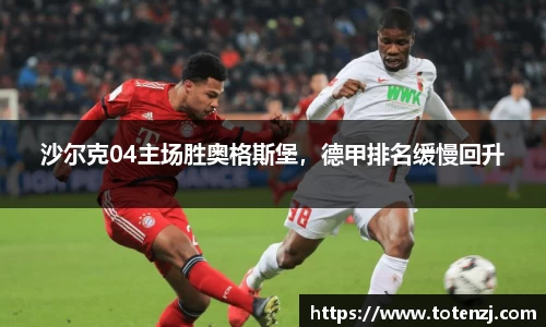 沙尔克04主场胜奥格斯堡，德甲排名缓慢回升