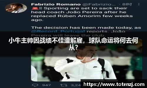 BoB半岛·体育中国官方网站