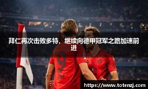 BoB半岛·体育中国官方网站
