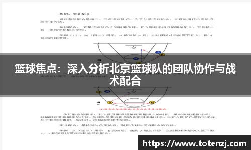 篮球焦点：深入分析北京篮球队的团队协作与战术配合