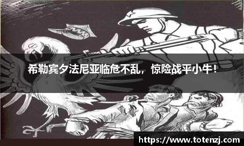 BoB半岛·体育中国官方网站