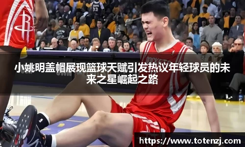 BoB半岛·体育中国官方网站