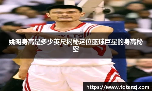 半岛·BOB官方网站