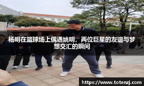 杨明在篮球场上偶遇姚明，两位巨星的友谊与梦想交汇的瞬间