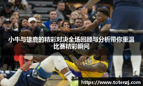 半岛·BOB官方网站